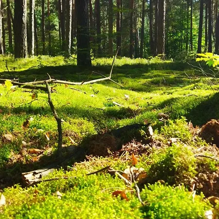 Ulegalki Roztocze Stodola Jacnia Exteriér fotografie